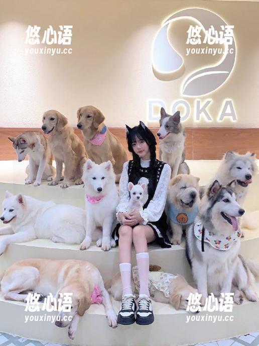 beautyleg - Xin短裤艺术写真：图库中的精选视角，感受独特的夏日风情.txt