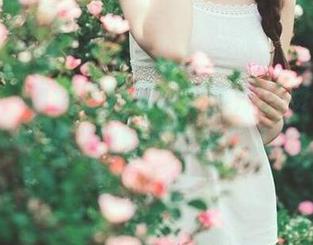 pans – 雨涵花嫁写真图集：免费下载，体验极致婚纱之美！.txt